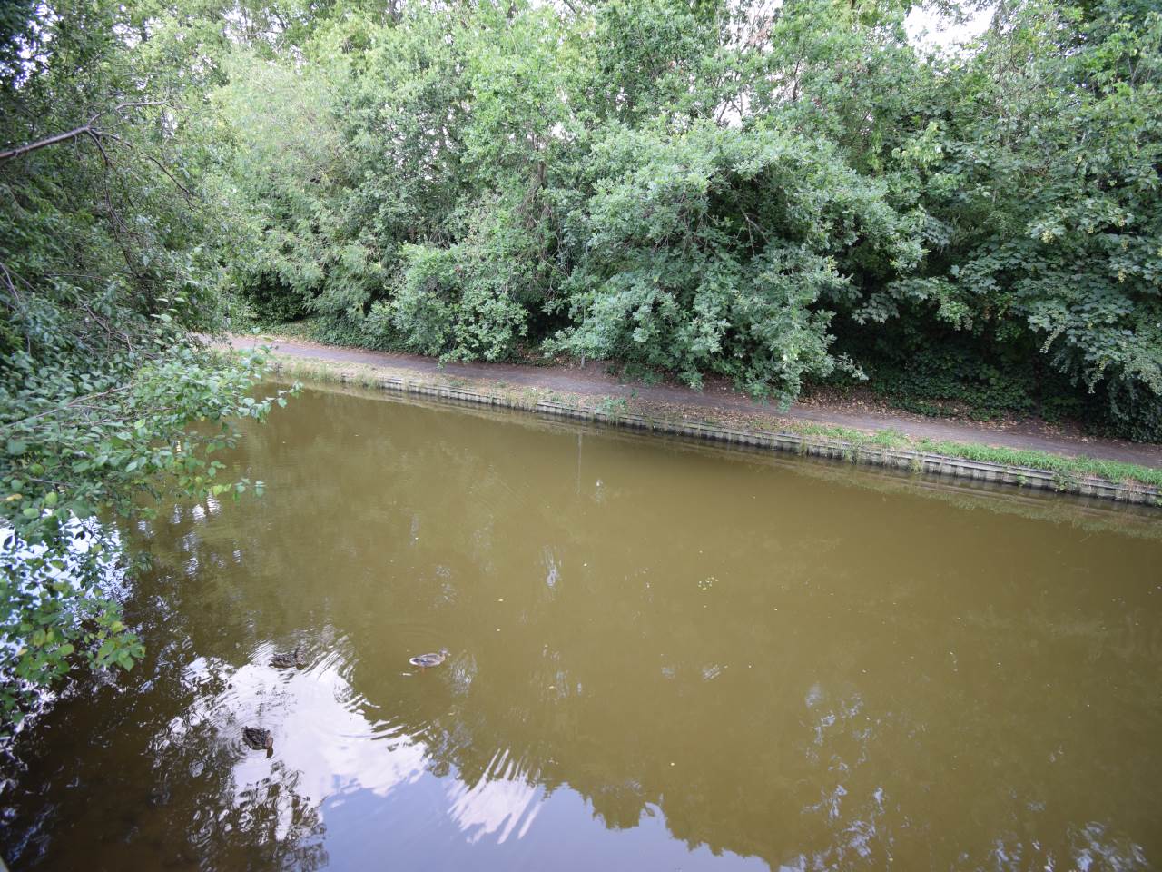 Canal views